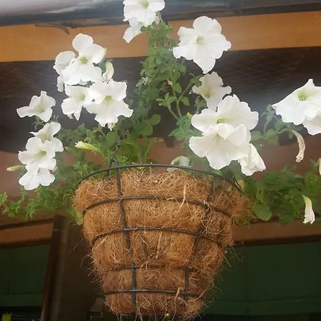 Complex Golden Dreams Апарт-отель